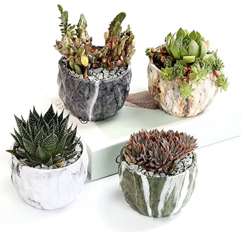 Modern Pots Those plants need pretty containers,